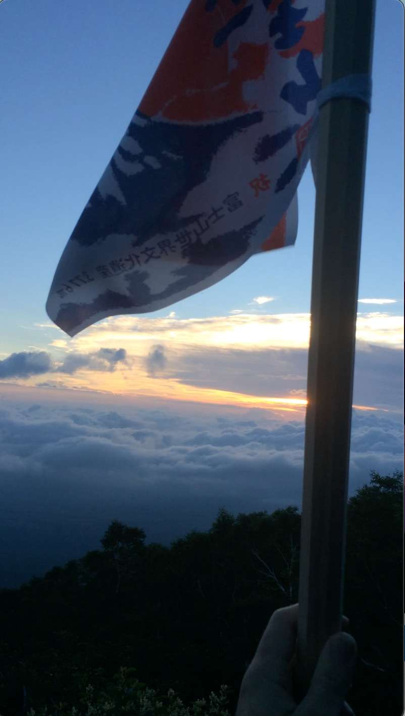 Photo of a mountain walking stick with flag.